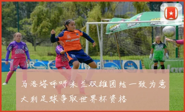 马洛塔呼吁米兰双雄团结一致为意大利足球争取世界杯资格