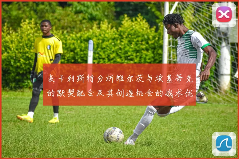麦卡利斯特分析维尔茨与埃基蒂克的默契配合及其创造机会的战术优势